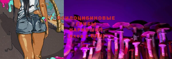 винт Баксан