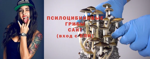 винт Баксан