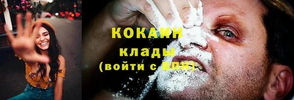 крисы Балахна